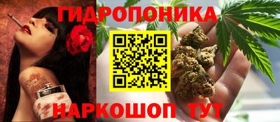 наркотики Кингисепп